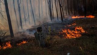 Rusi napali Kijev, a Ukrajinci Saratov i Engels